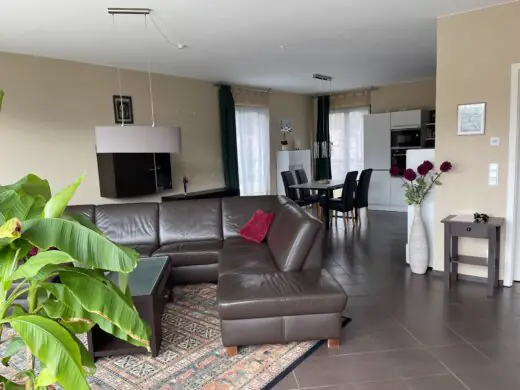 Wohnzimmer mit Ledersitzlandschaft und Zimmerpflanze, im Hintergrund der Esstisch