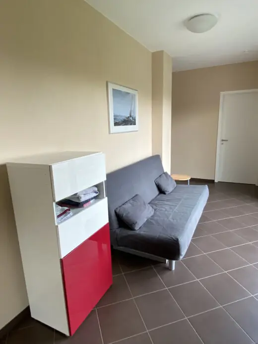 Durchgangszimmer mit grauer Schlafcouch und Regal